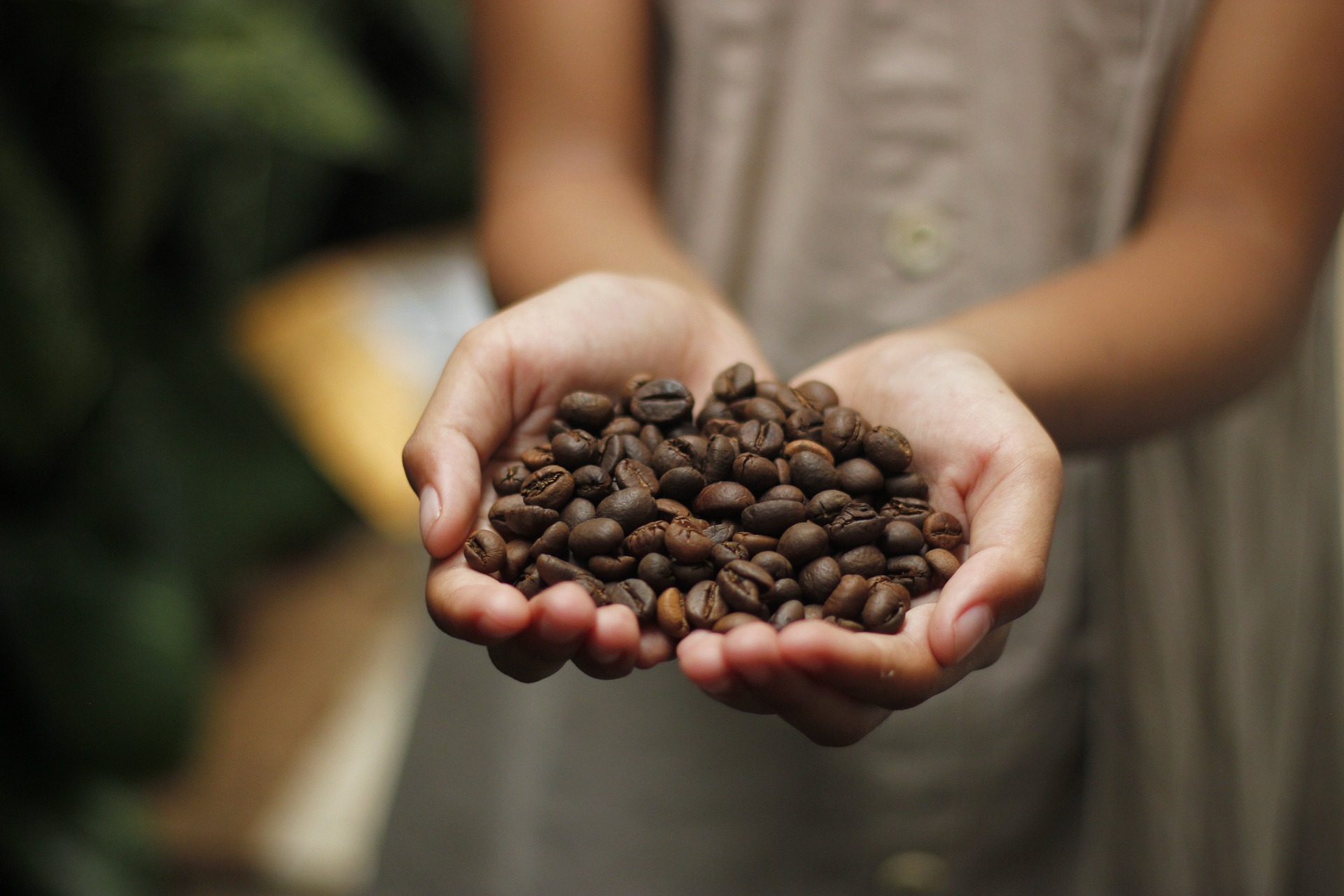 Espresso-Verkostungsdiagramm – Aromen erkennen und beschreiben
